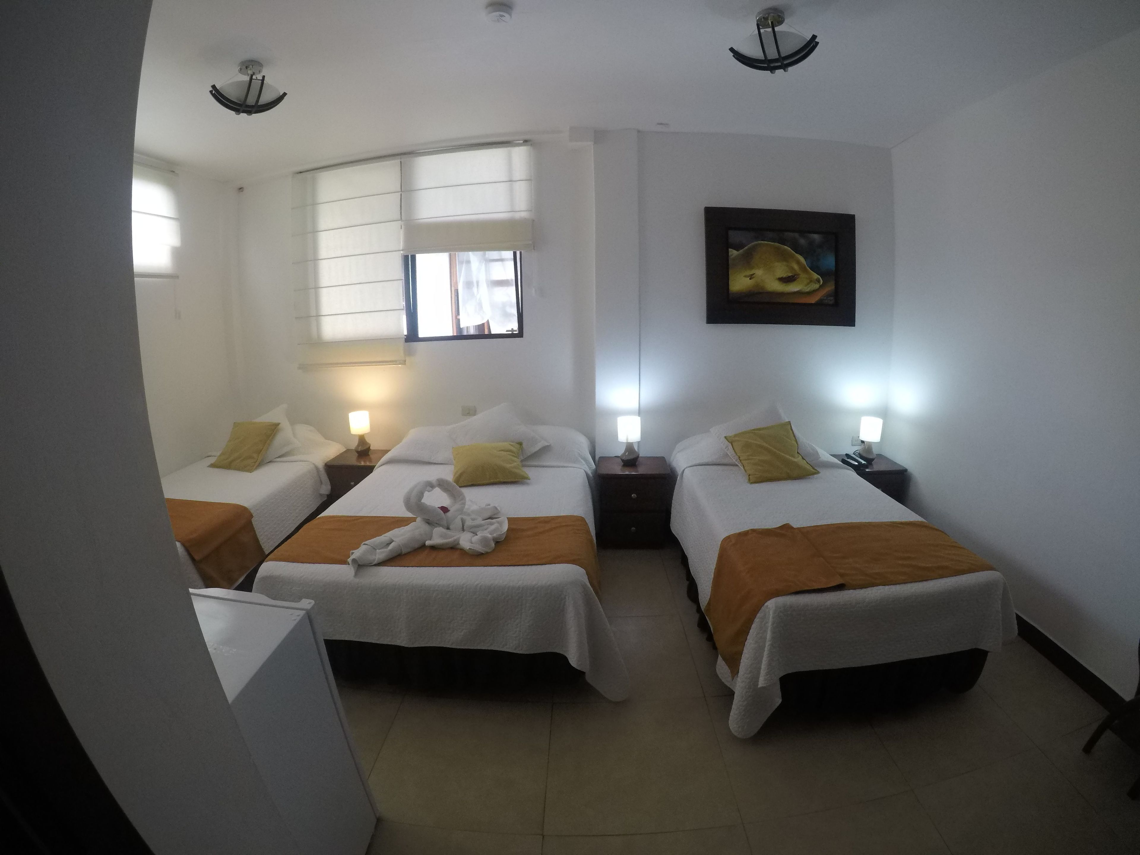 Habitación de hotel con dos camas, cada una con una mesita de noche y lámpara. Se ve una ventana con persianas, un cuadro en la pared y una toalla en el suelo.