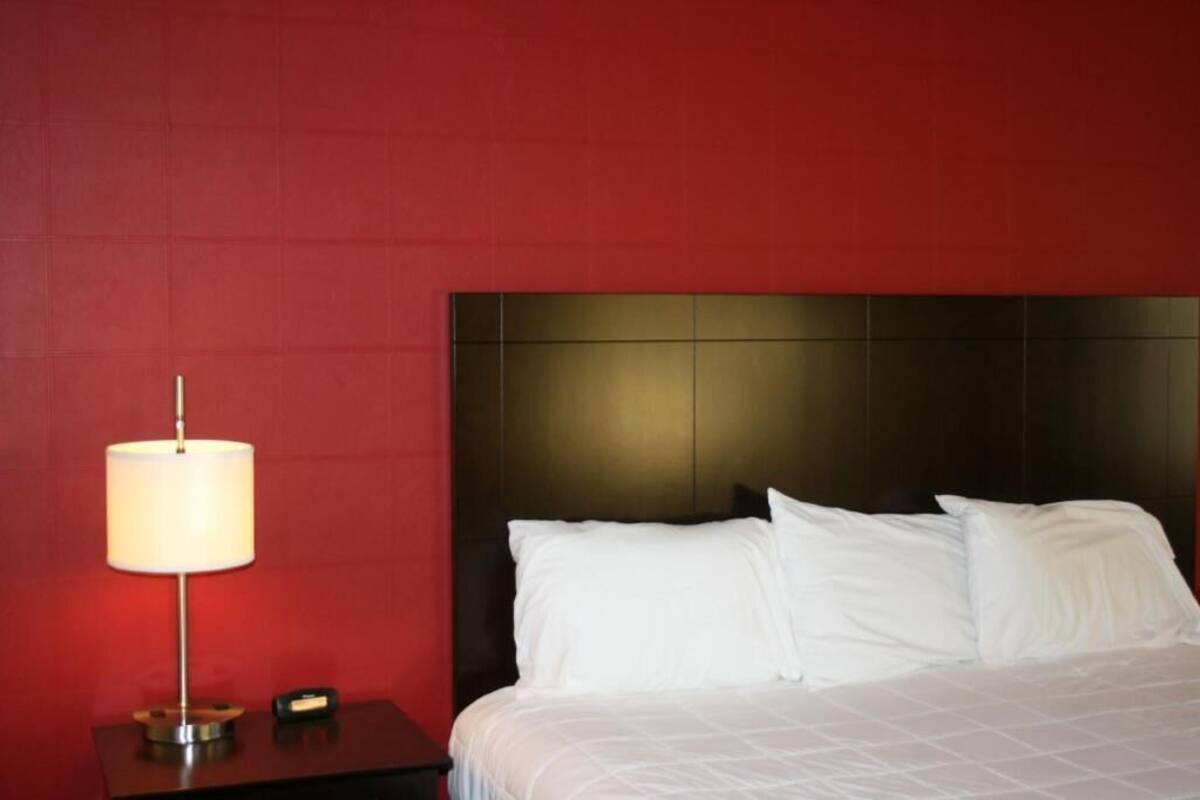 A hotel room with a red wall, a bed with white bedding, and a bedside lamp.