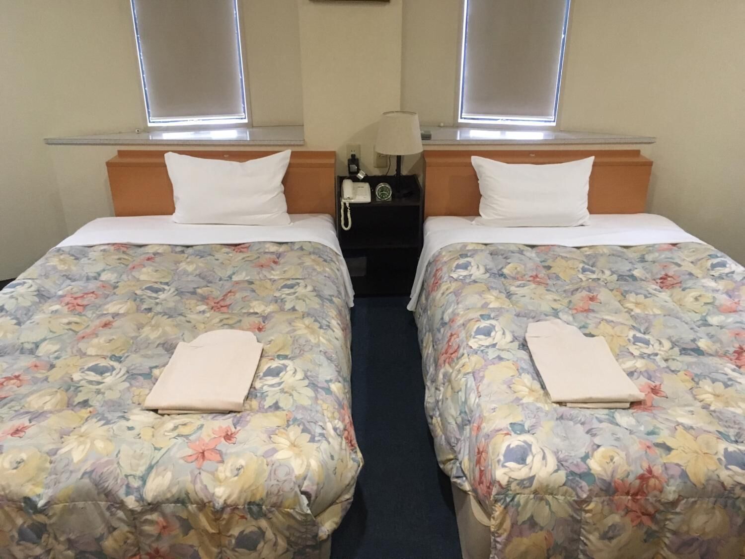 Habitación de hotel con dos camas individuales, cada una con una colcha estampada y un almohadón blanco. Entre las camas hay una mesita de noche con una lámpara y un teléfono.