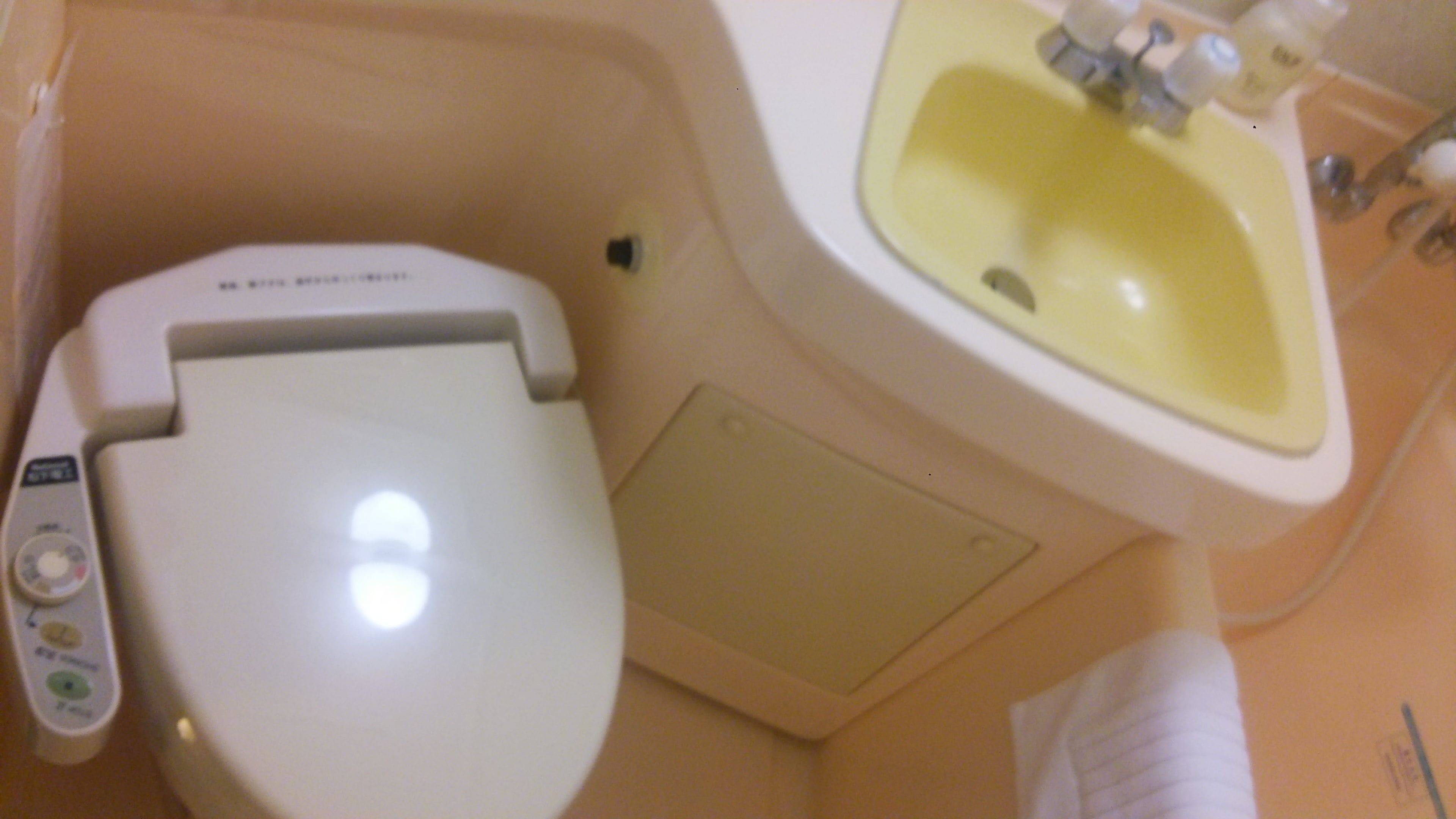 A bathroom with a toilet and a sink.