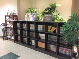 Servicio de la propiedad