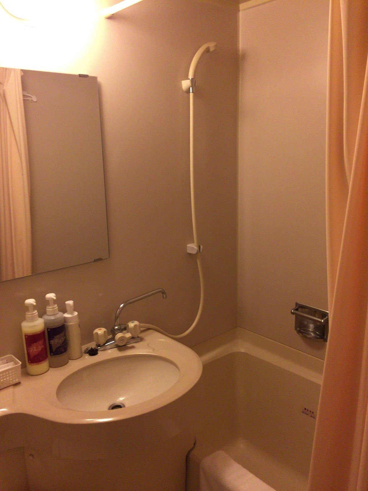 Bathroom | Combined shower/tub, free toiletries, hair dryer, slippers
