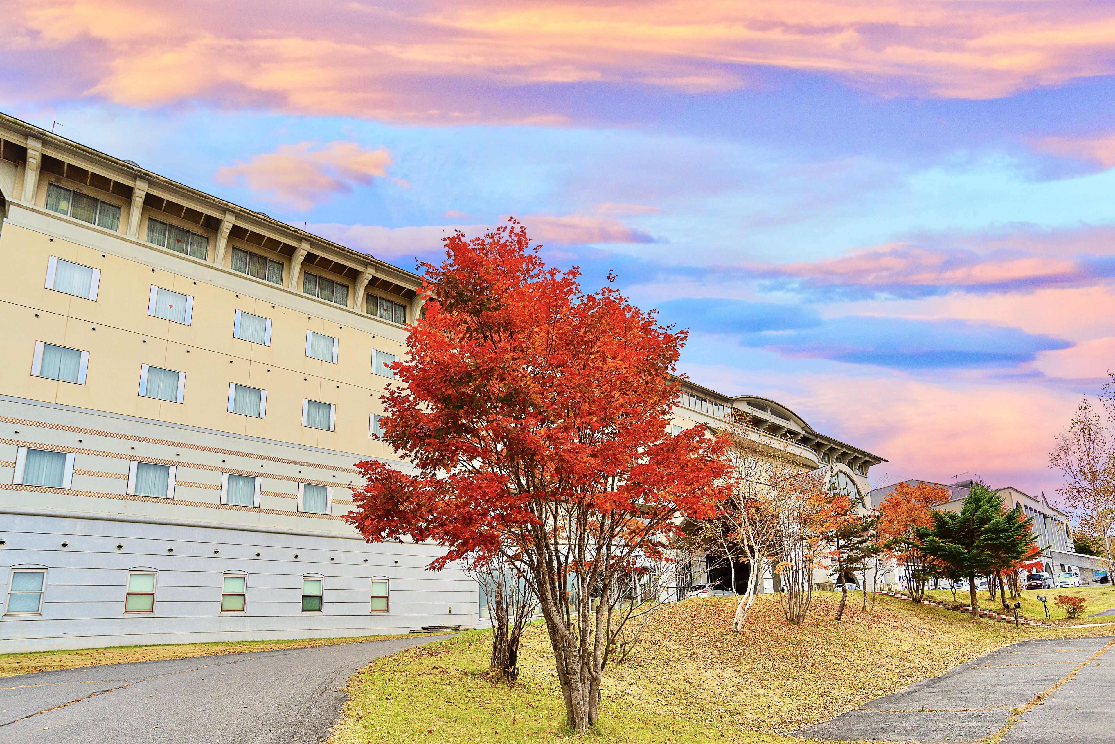 A building with a flat facade, multiple windows, and a tree with red leaves in front.