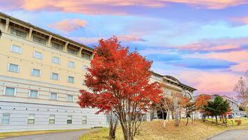 A building with a flat facade, multiple windows, and a tree with red leaves in front.