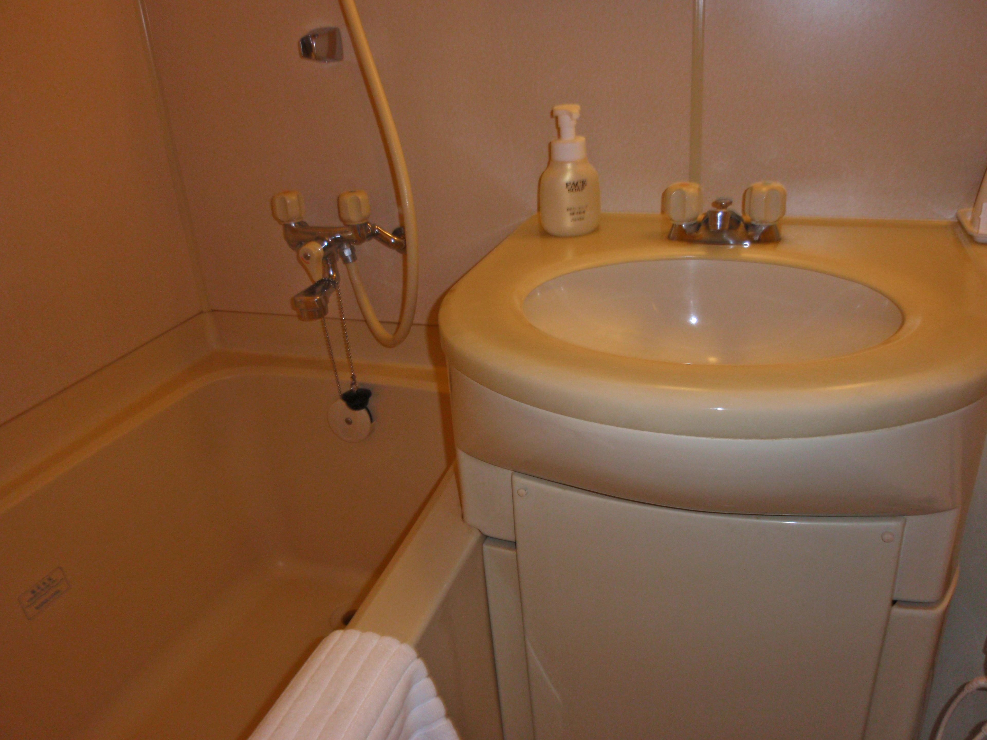 combined shower/bathtub, hair dryer, slippers, electronic bidet