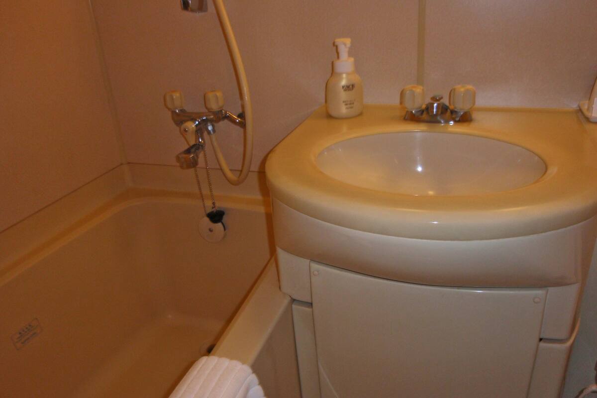 combined shower/bathtub, hair dryer, slippers, electronic bidet