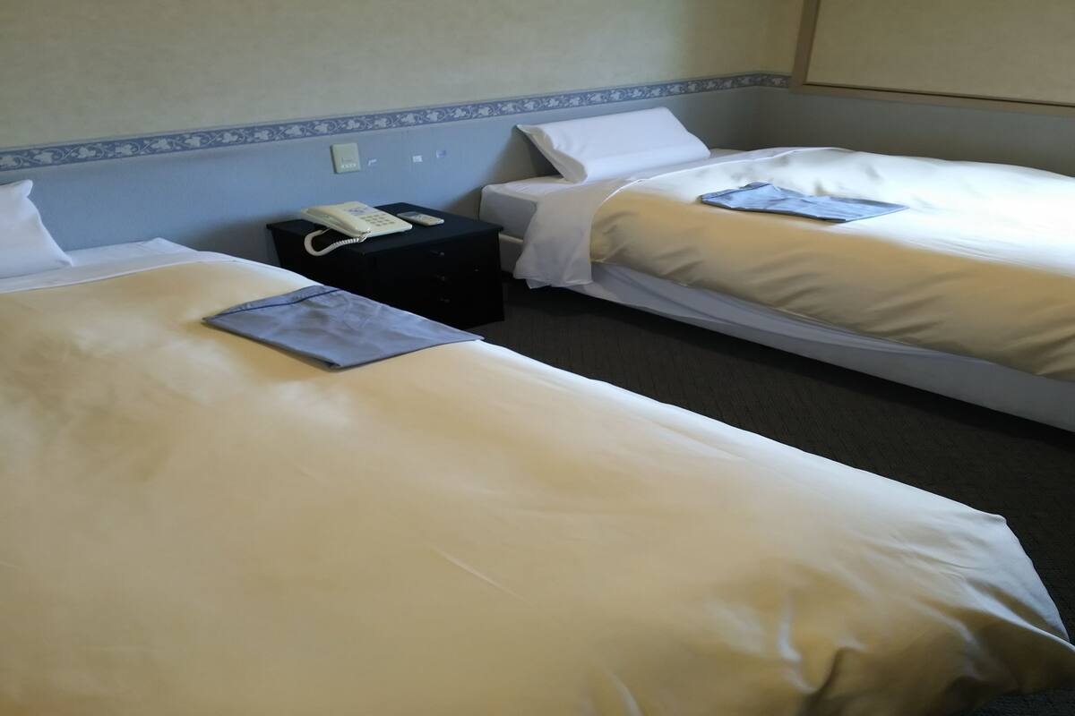 Two single beds with white linens, a bedside table with a telephone, and a small black suitcase on one bed.