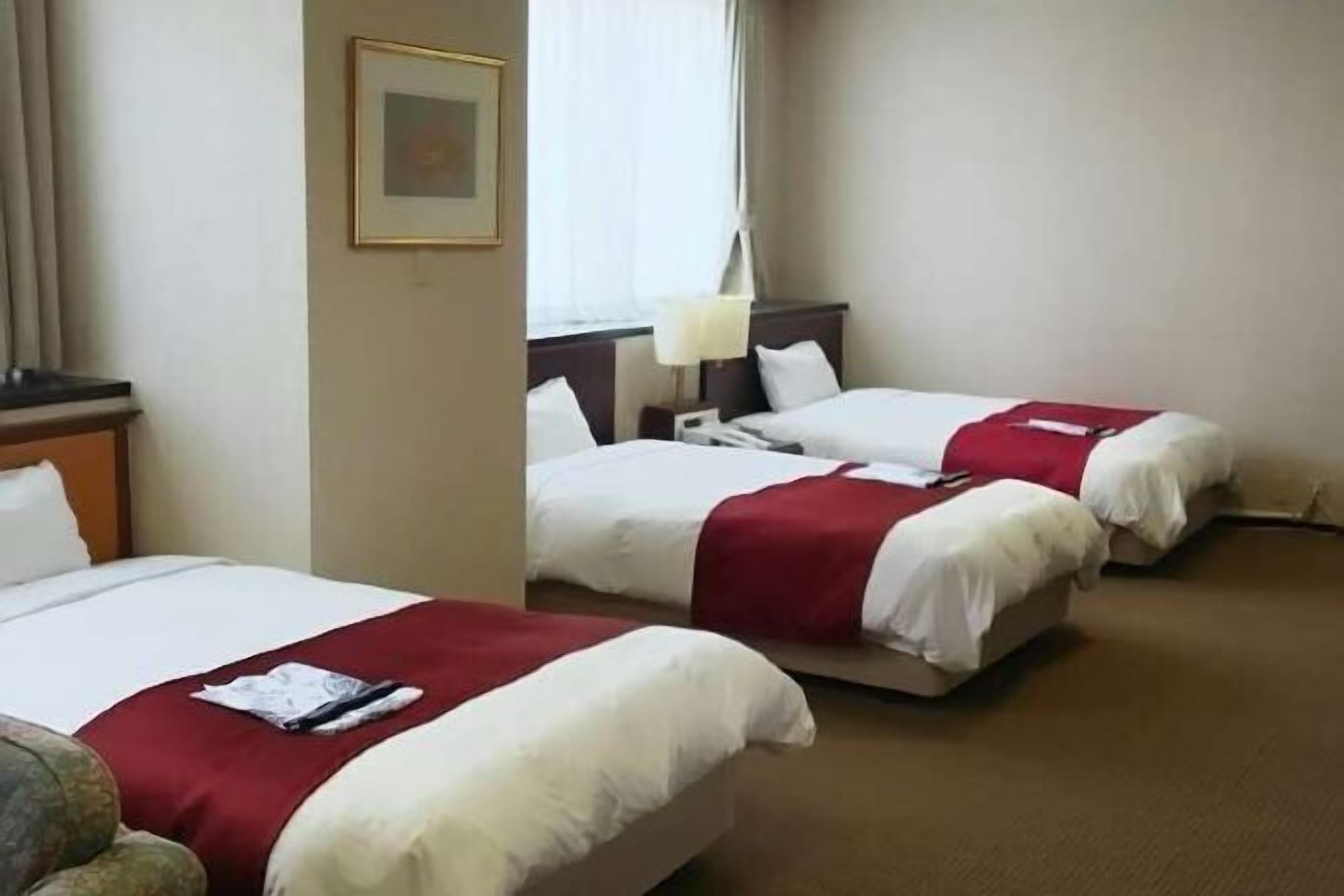 Dundyner, skrivebord, blendingsgardiner og wi-fi (inkludert)