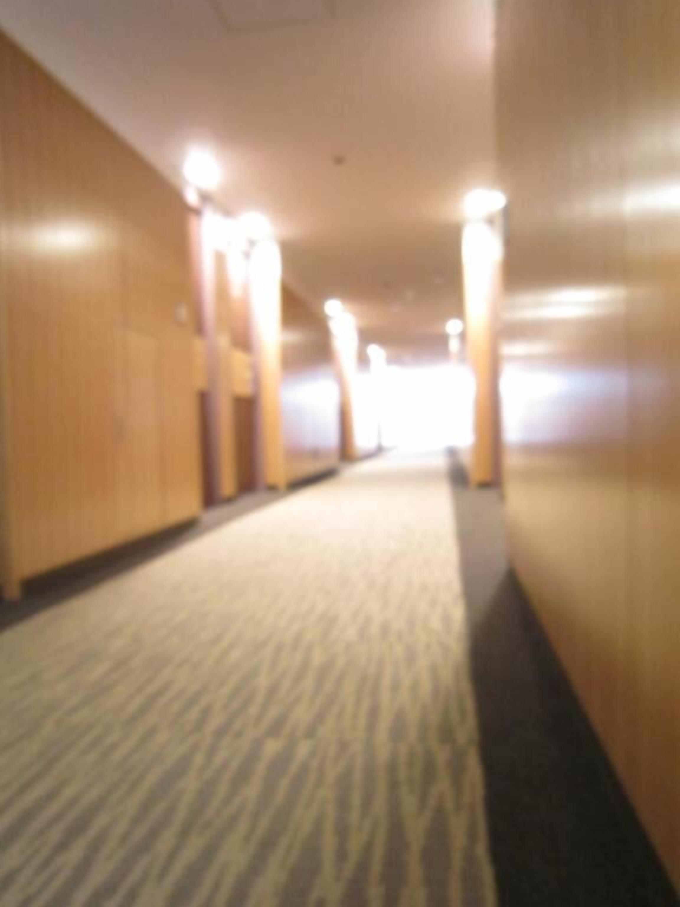 Pasillo con pisos alfombrados y paredes de madera, que conduce a una salida luminosa.