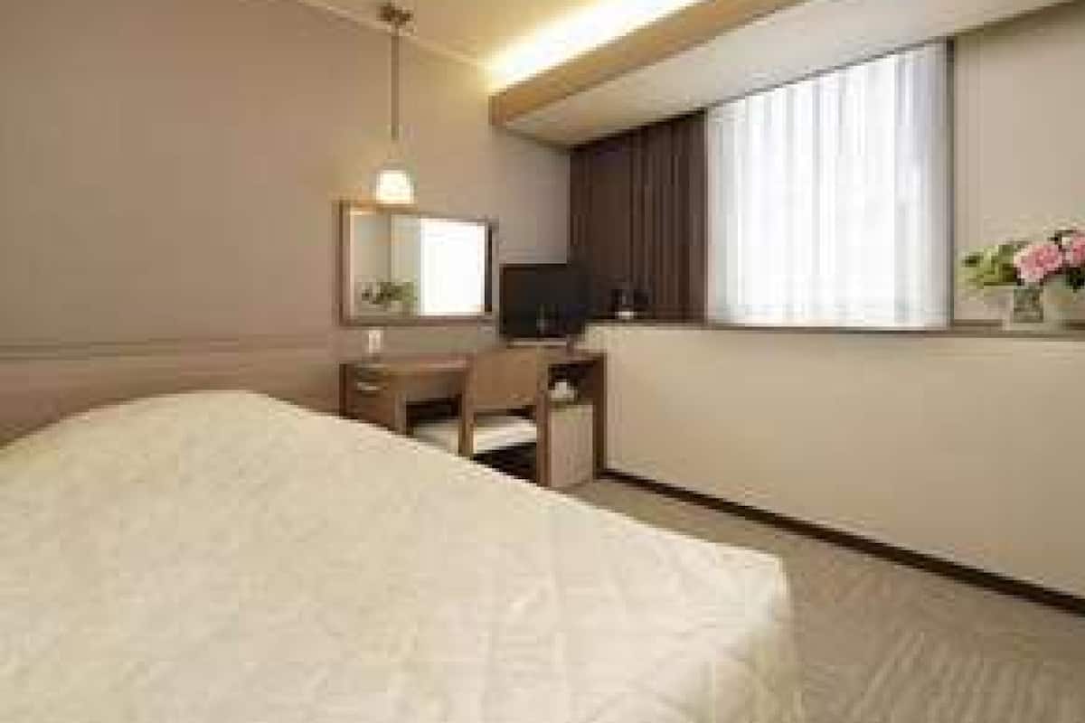 A hotel room with a bed, a desk, a chair, a TV, a window, and a mirror.