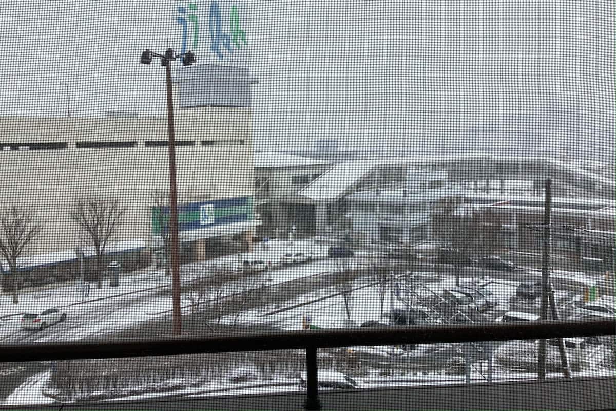 A view through a window with a mesh screen, displaying a parking lot with several cars and a building in the background.