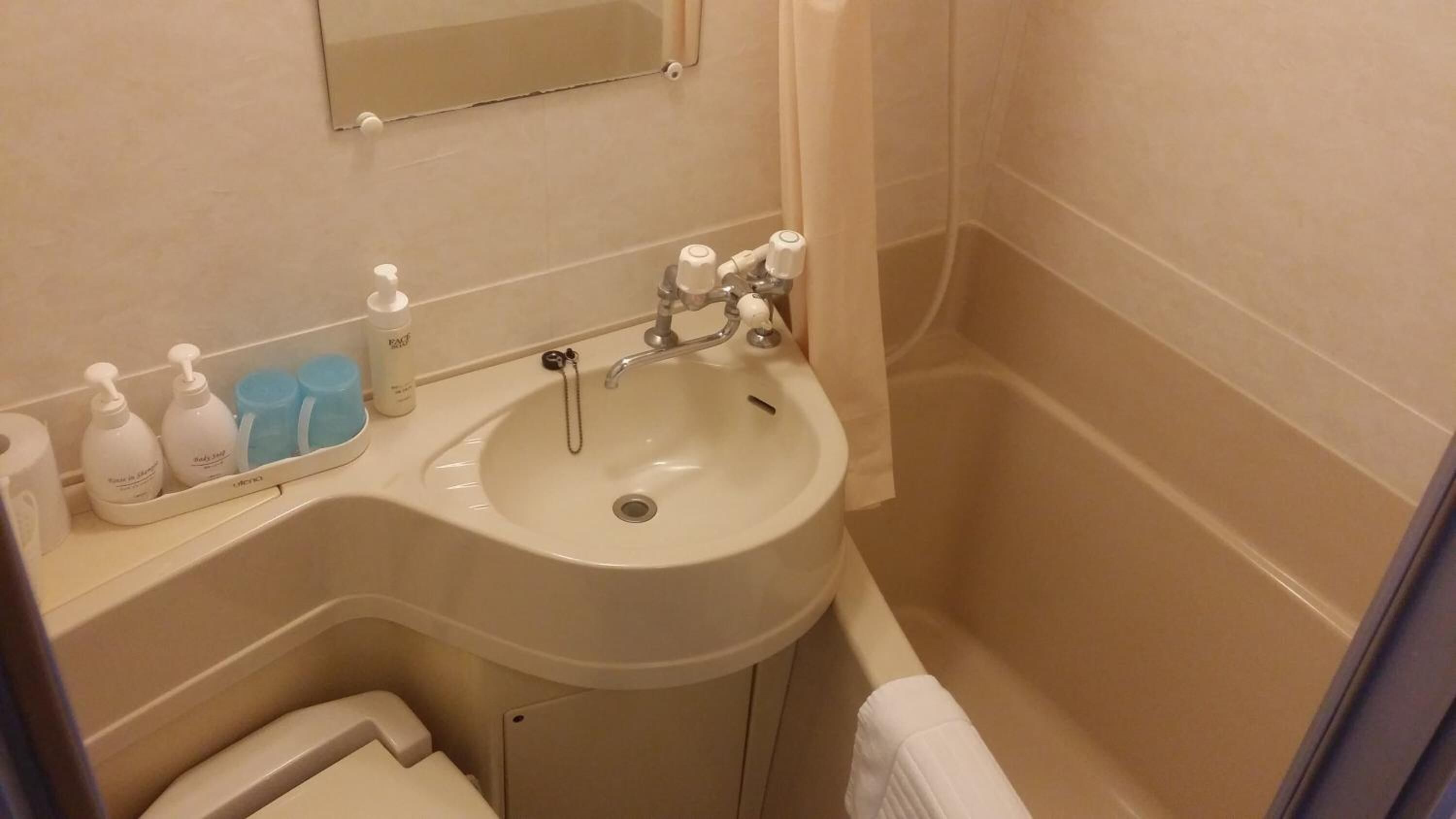 Combined shower/tub, free toiletries, hair dryer, bathrobes