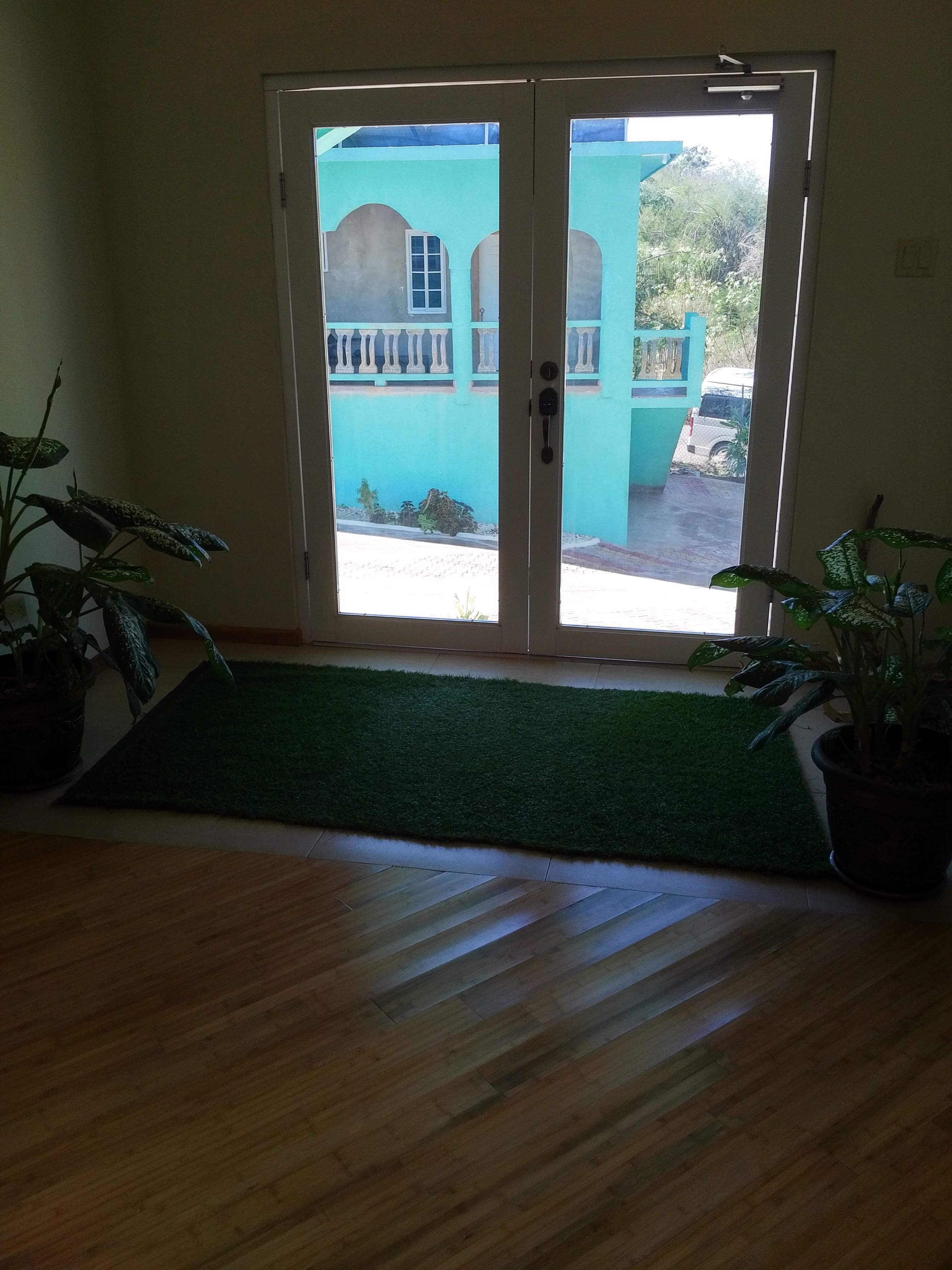 Una habitación con piso de madera, un felpudo verde en la entrada y vista a un espacio exterior con un muro turquesa y un vehículo.