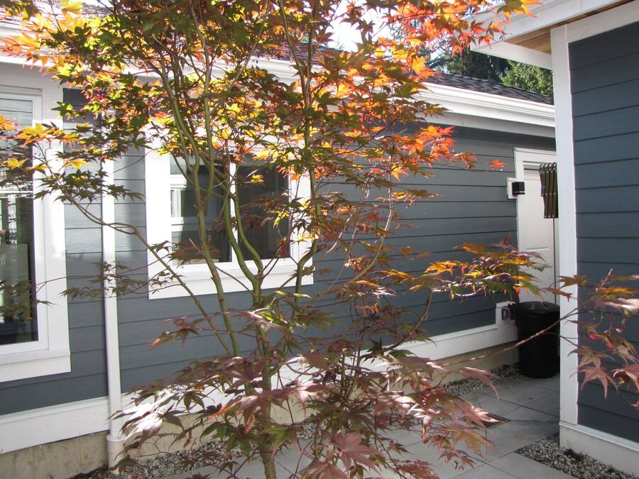 Un immeuble résidentiel à la façade grise, avec une porte bien visible et un petit jardin agrémenté d’un arbre.