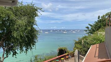 Bougainvillea | Vue depuis le balcon