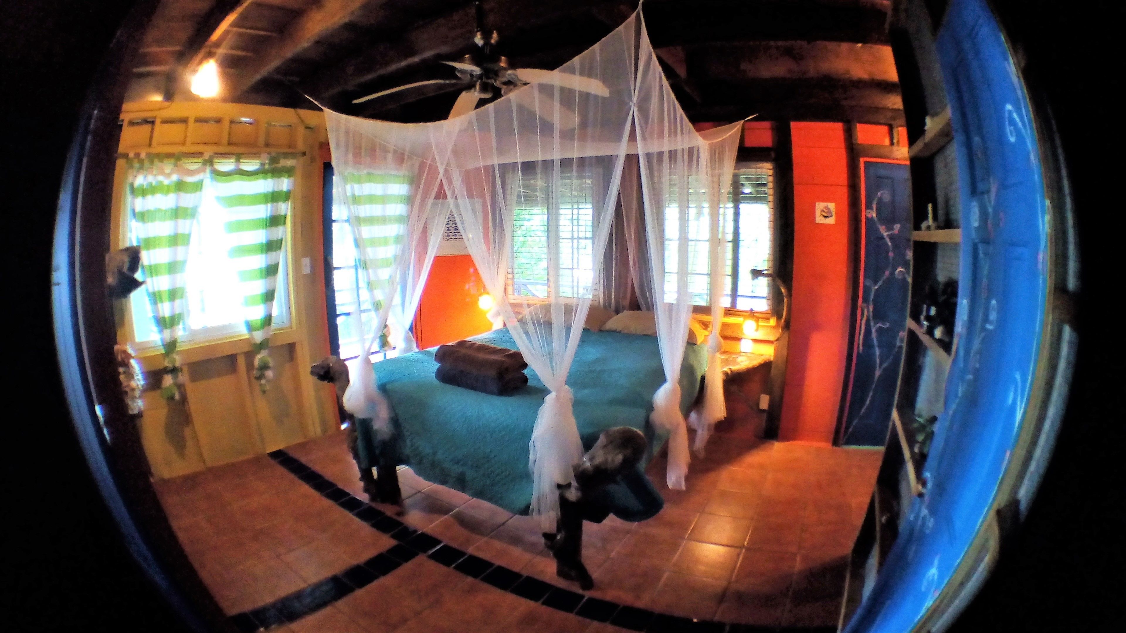 double room, ocean view | view from room