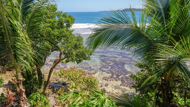 Una platja tropical amb aigua cristal·lina, palmeres i vistes a l'oceà.
