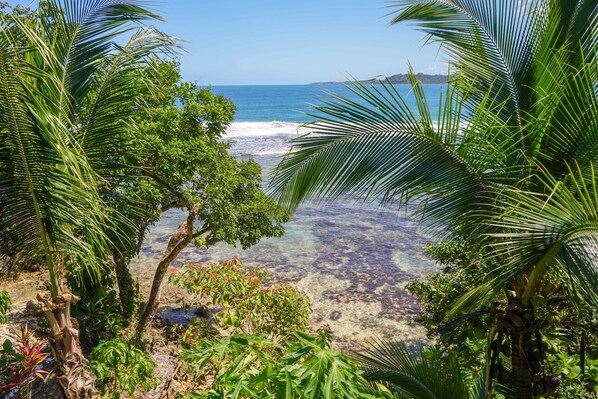 Exterior - Mosana reef garden B&B (Bocas del Toro)