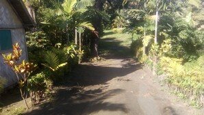 Un sendero de tierra bordeado por abundante vegetación y un edificio pequeño con un ventanal verde.