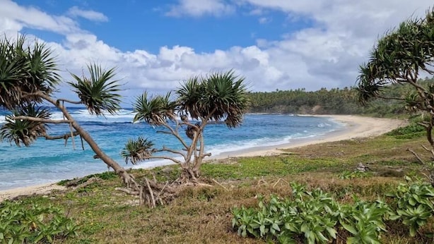 Una playa con palmeras y olas del océano.