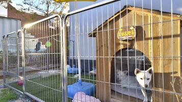 A fenced outdoor area with a wooden dog house and a metal gate.