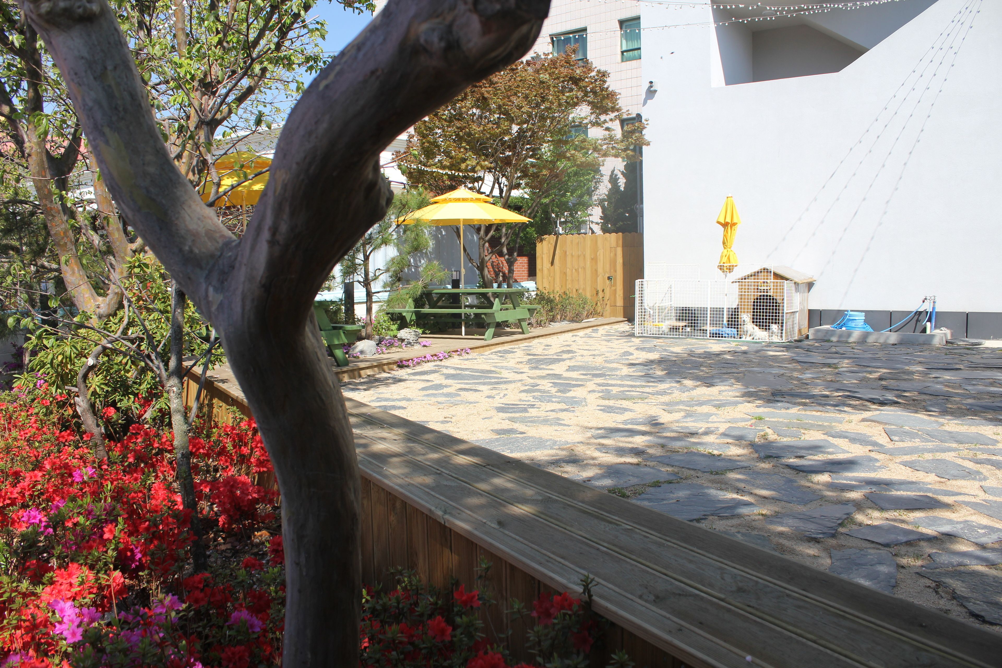 Un patio con suelo de piedra, una cerca de madera y un paraguas amarillo.