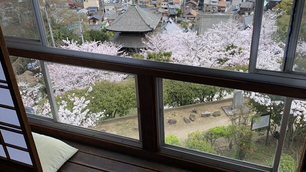 A room with a large window overlooking a cityscape with traditional and modern buildings, a river, and cherry blossoms. - Onomichi Guest House Miharashi-tei - Hostel (Onomichi)