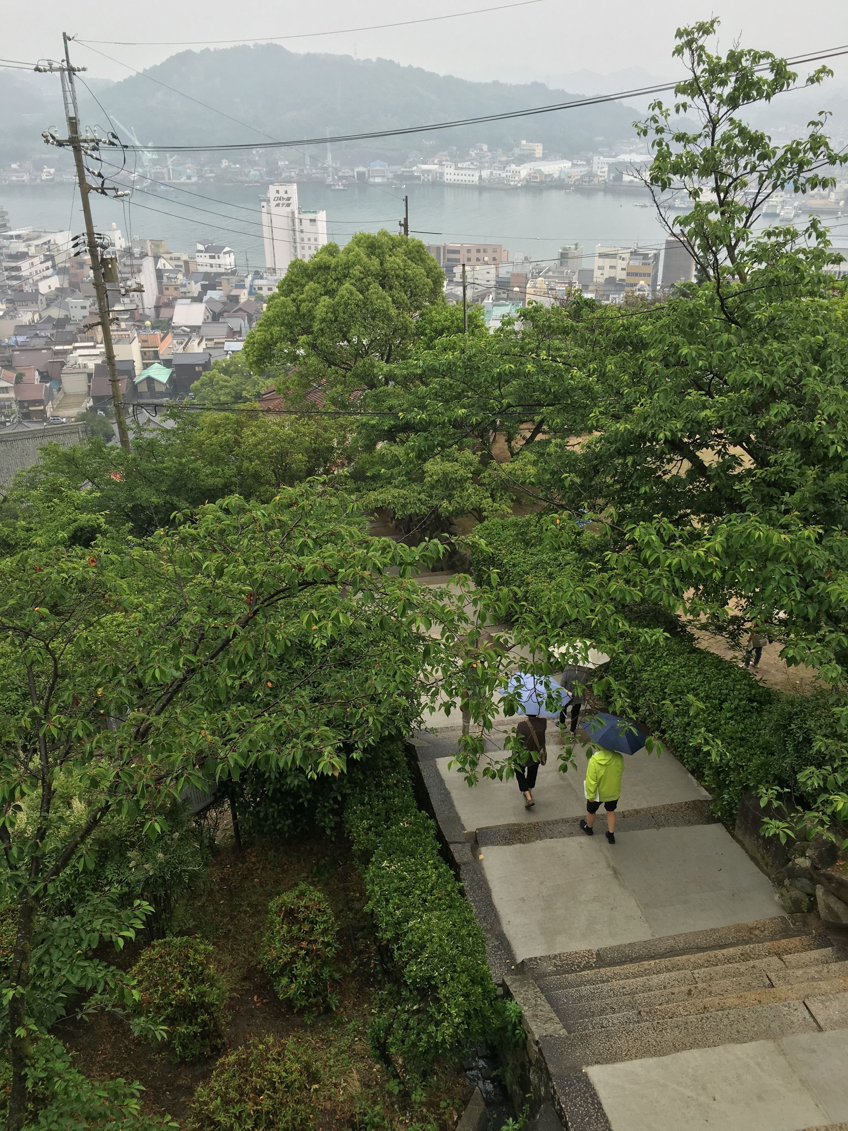 A pathway with steps surrounded by lush greenery, leading to a view of a town and a body of water.