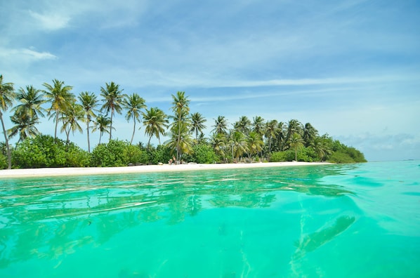 Private beach nearby, white sand, sun-loungers, beach towels