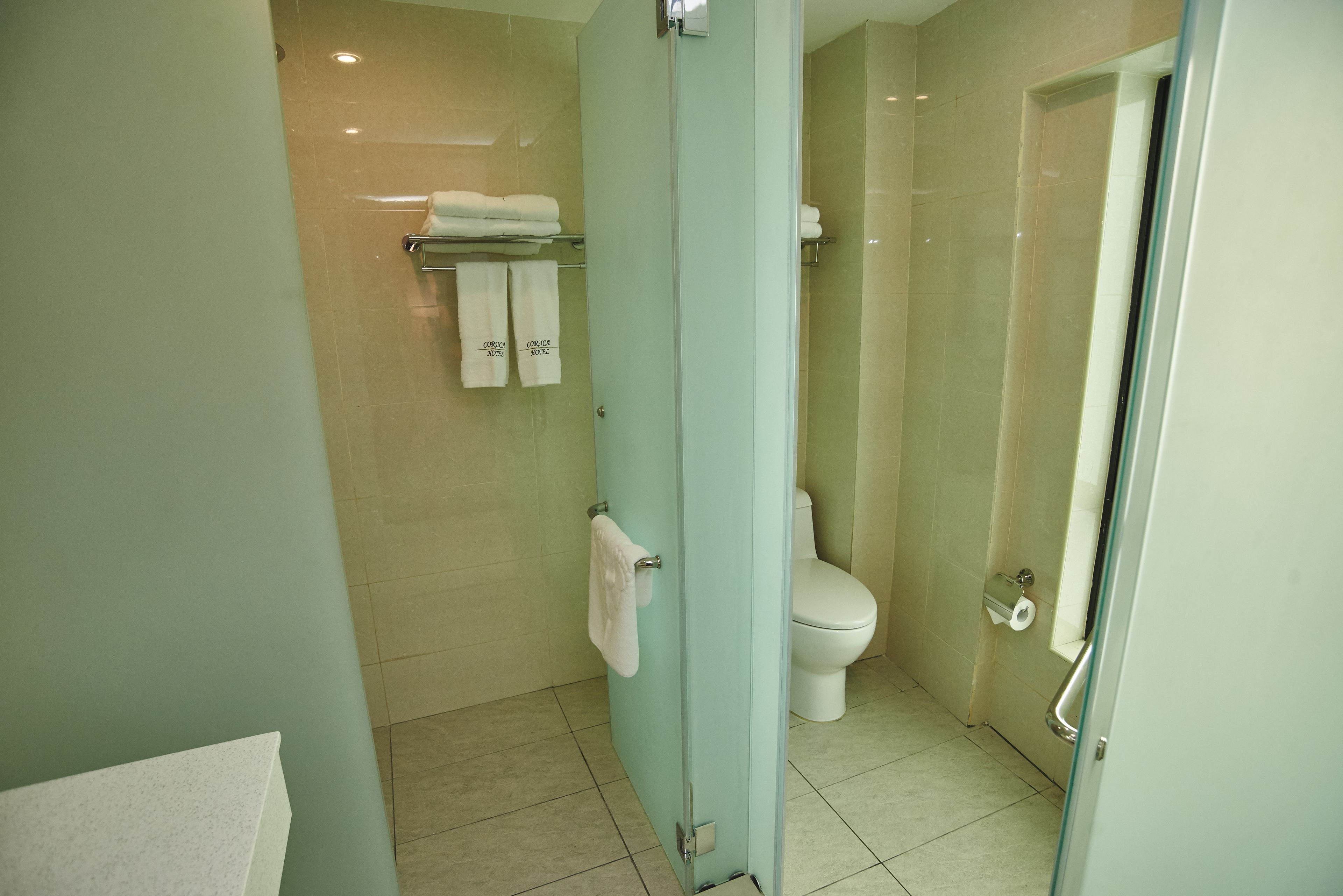 family room | bathroom | shower, hydromassage showerhead, free toiletries, hair dryer