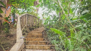 Escadaria de concreto com corrimão de madeira, cercada por vegetação exuberante e cerca de madeira.