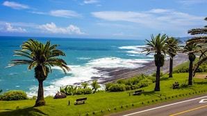 A coastal road with palm trees, benches, and a view of the ocean. - Miyazaki Kanko Hotel (Miyazaki)