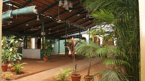 Un espace intérieur abrité, agrémenté de plantes en pot, doté d’un sol carrelé et d’une structure de toit en métal.