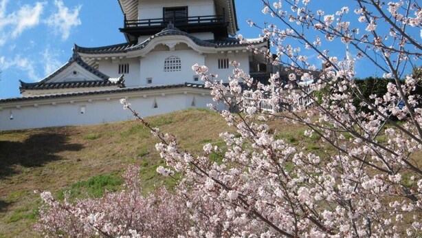 Un château japonais traditionnel, doté d’une tour imposante et de murs blancs, entouré d’arbres en fleurs de cerisier.