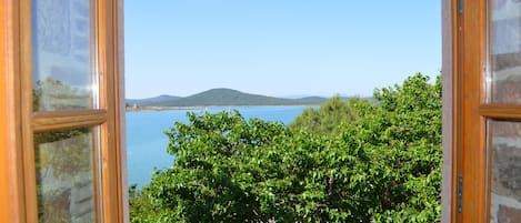 Vista desde la habitación