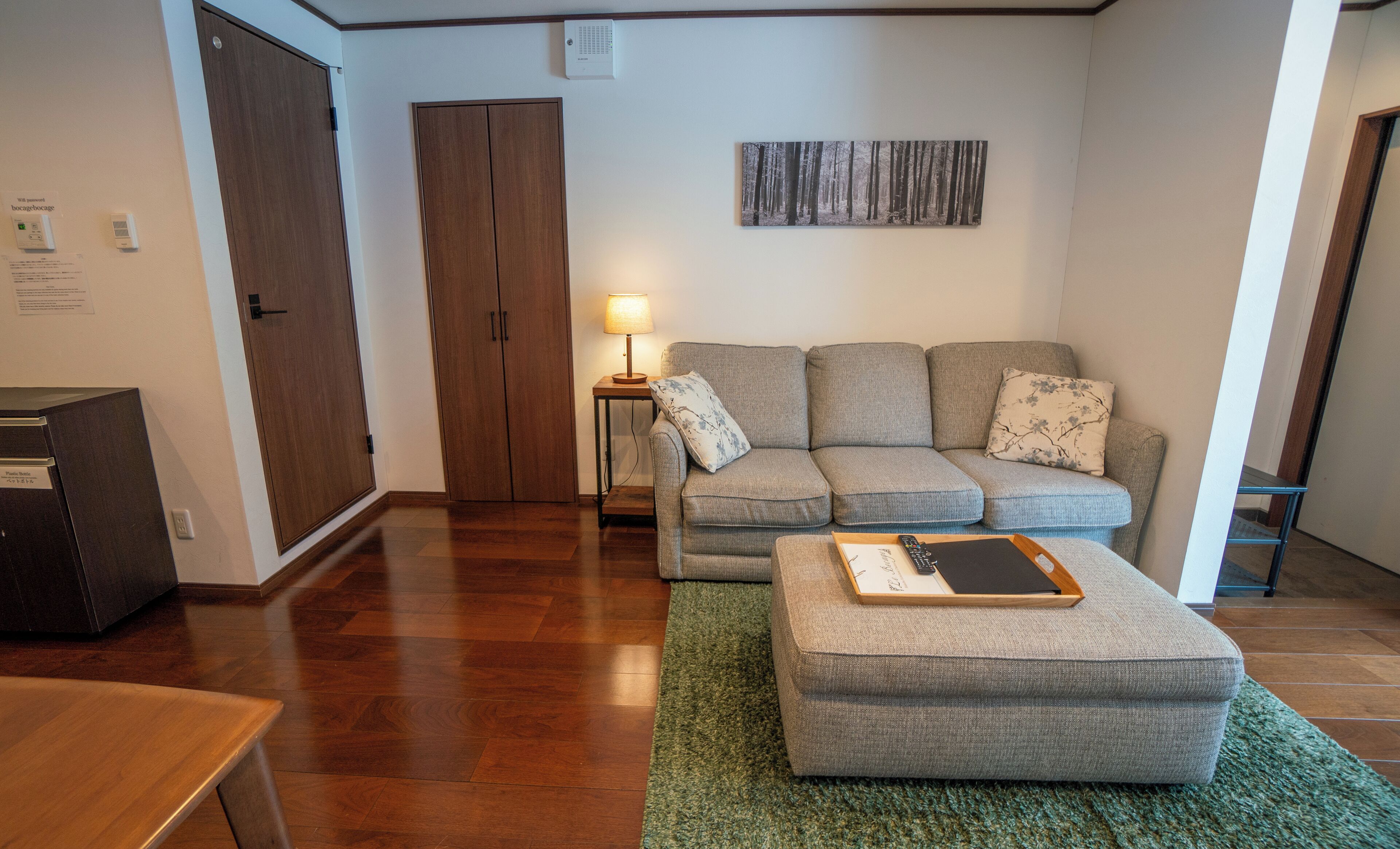 A living room with a grey sofa, a wooden cabinet, and a green rug.