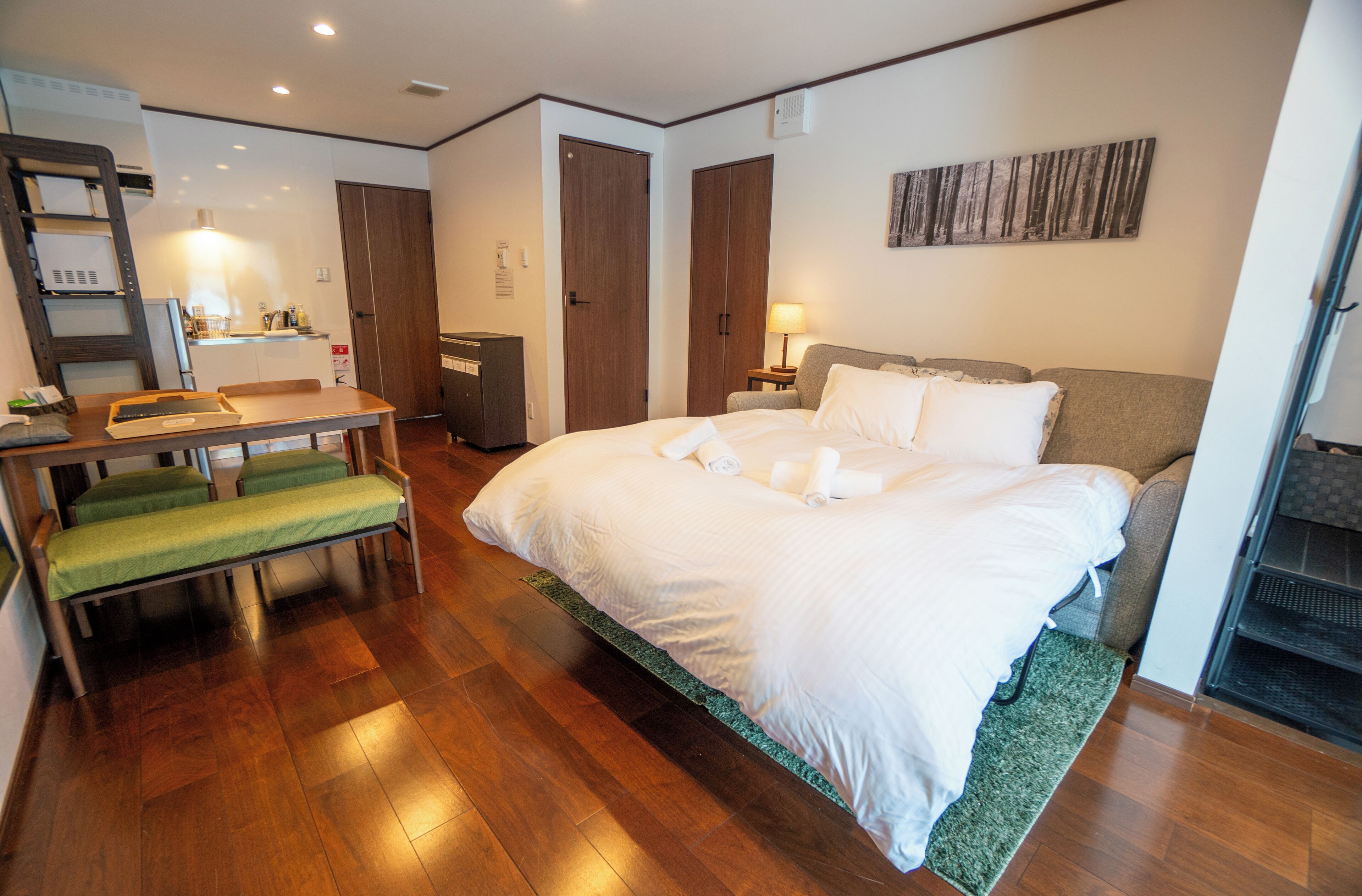 Comfort Apartment, 1 Bedroom, Non Smoking, Kitchen | Living area | Flat-screen TV, DVD player