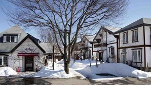 A snow-covered street with traditional buildings, a tree in the center, and a puddle reflecting the surroundings.