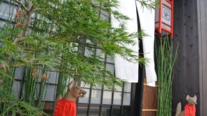 A building with a traditional Japanese entrance, a bamboo plant, and two statues of animals wearing red scarves. - Yadoya Kyoto-Shimogamo (Kyoto)