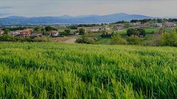 A rural landscape with a field of tall grass in the foreground, houses in the midground, and mountains in the background.