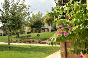 Khuôn viên nơi lưu trú