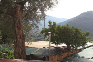 Vista de una zona montañosa con un árbol grande y un edificio de techo verde.
