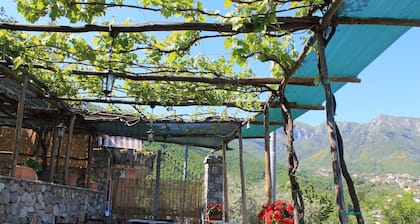 Casa Scola Agriturismo