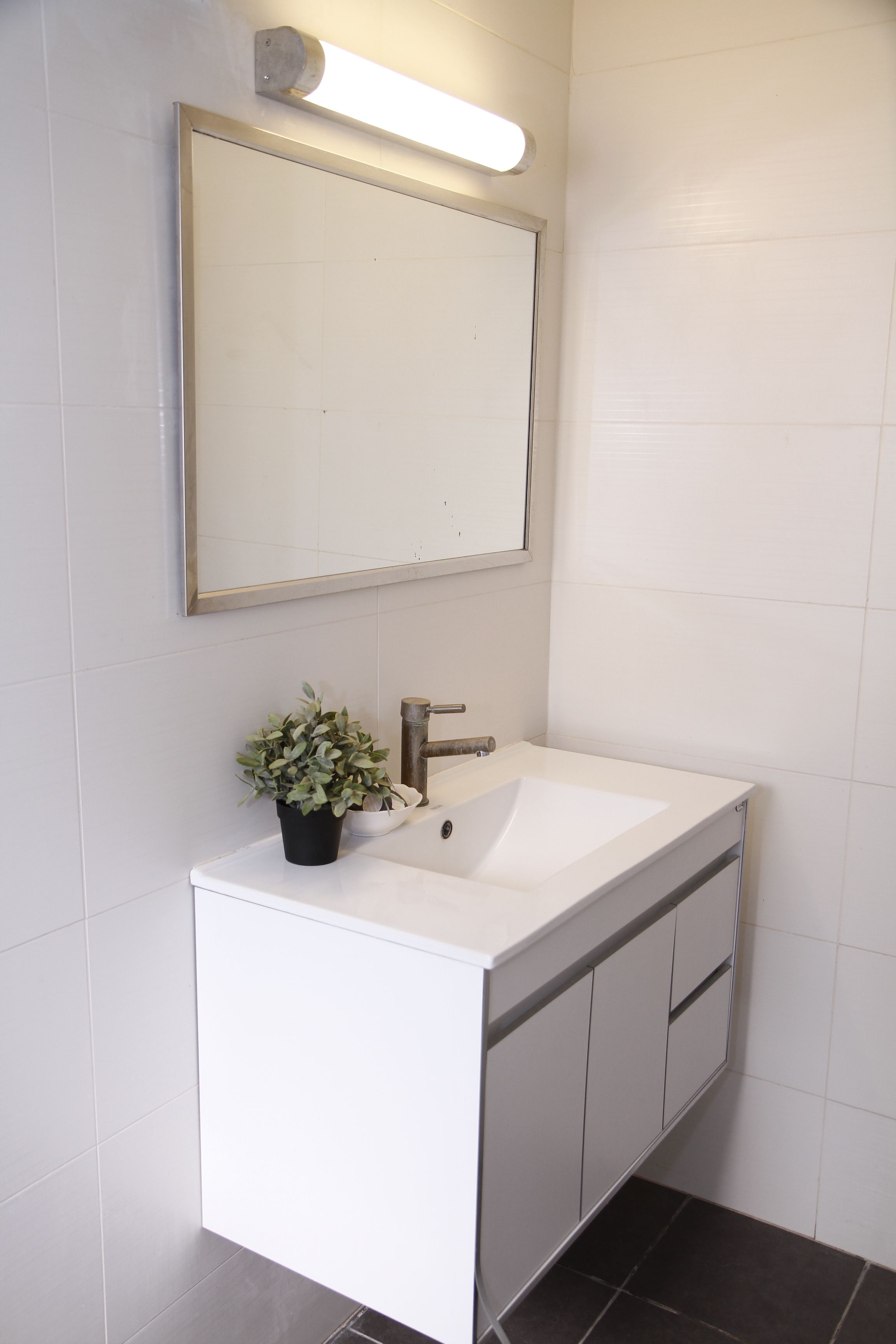 A bathroom with a white sink, a mirror, and a potted plant.