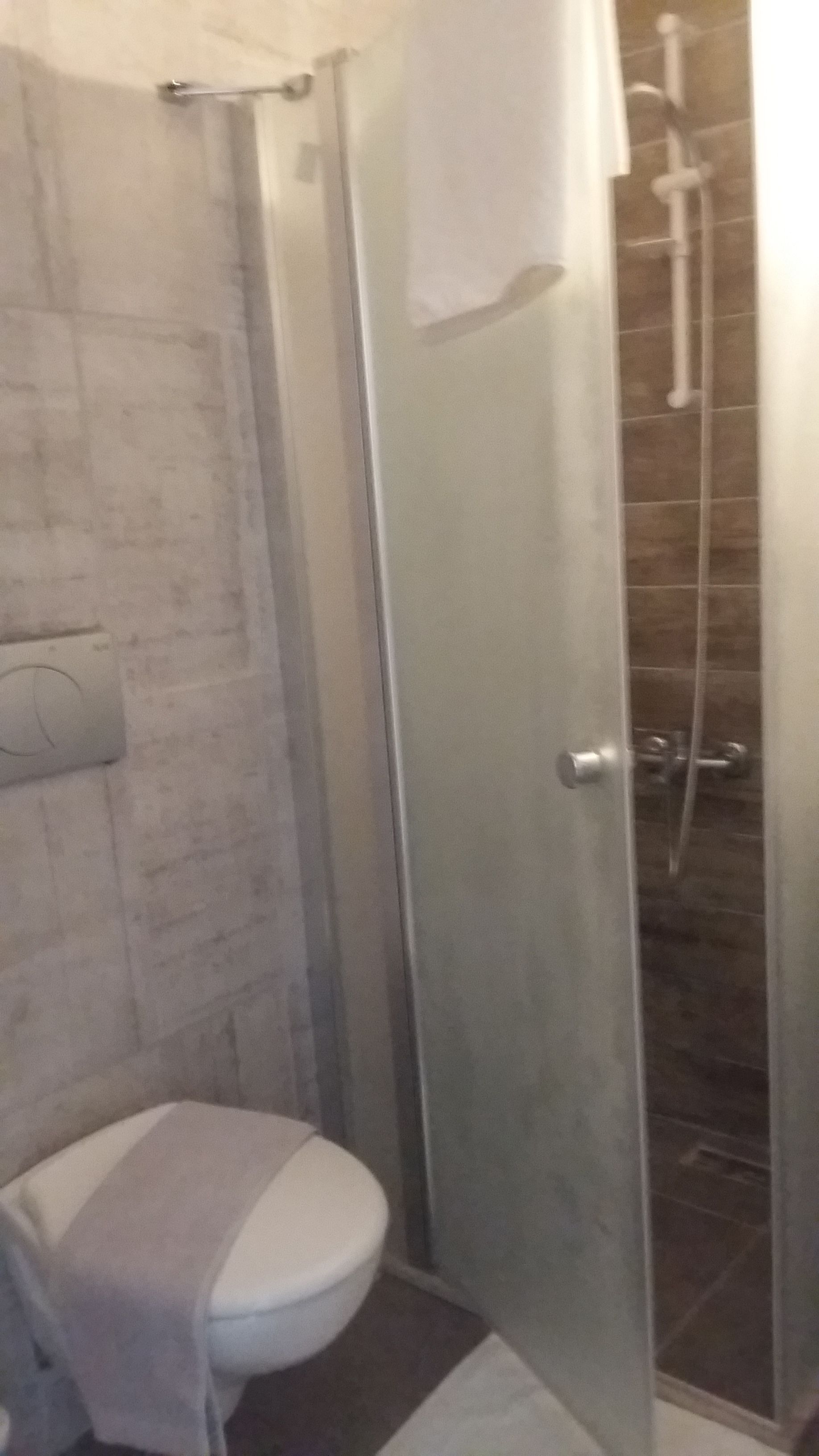 Une salle de bain avec une douche à parois de verre, des toilettes et un porte-serviettes.