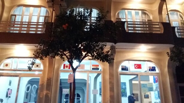 Un edificio de varios pisos con balcones, amplias ventanas y un árbol en la parte delantera.