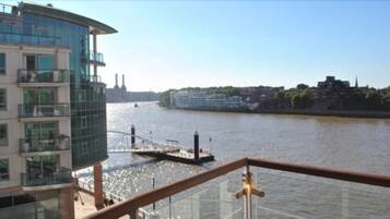 Vista desde la propiedad