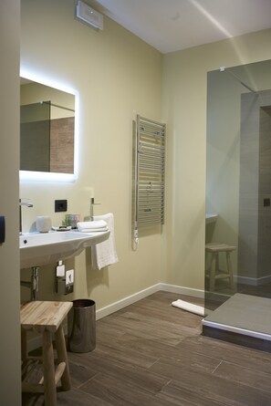 Shower, hair dryer, bidet, towels