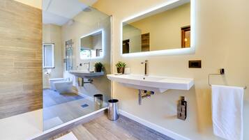 Shower, hair dryer, bidet, towels