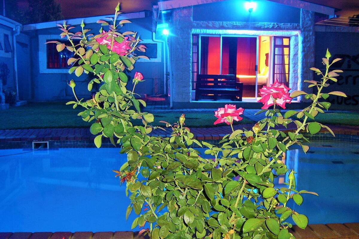 A modern house with a swimming pool, a patio, and a well-maintained garden with roses.